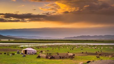 Mongolian Nomadic Lifestyle