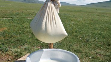 The Culture of Mongolian Dairy Products