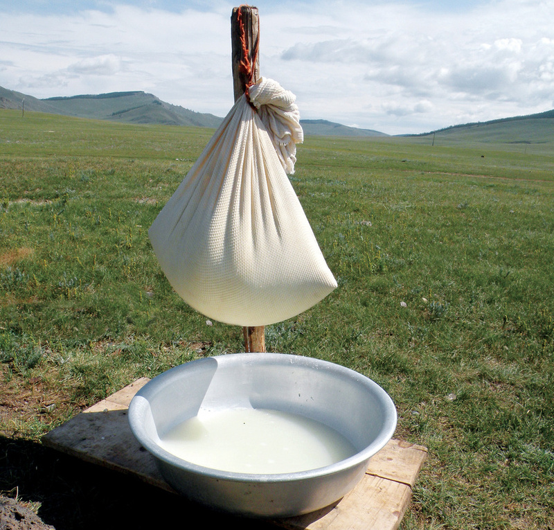 The Culture of Mongolian Dairy Products